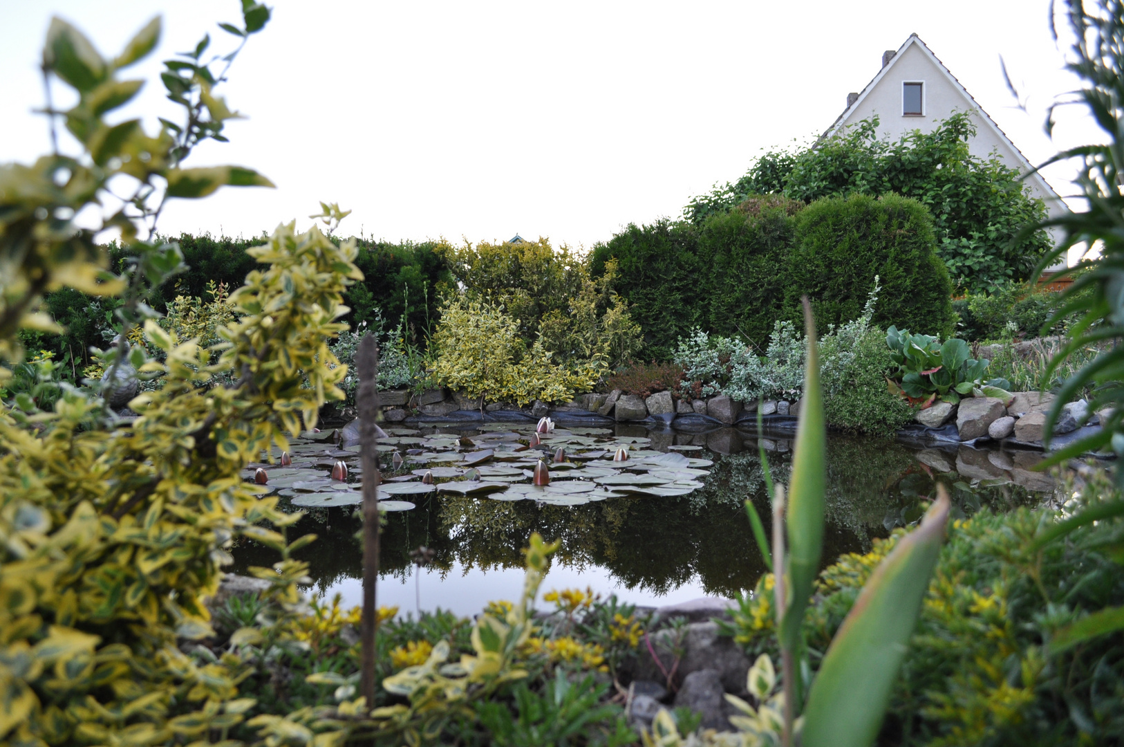 Der Gartenteich Foto & Bild landschaft, bach, fluss & see, see, teich