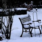 Der Gartenwinter ...