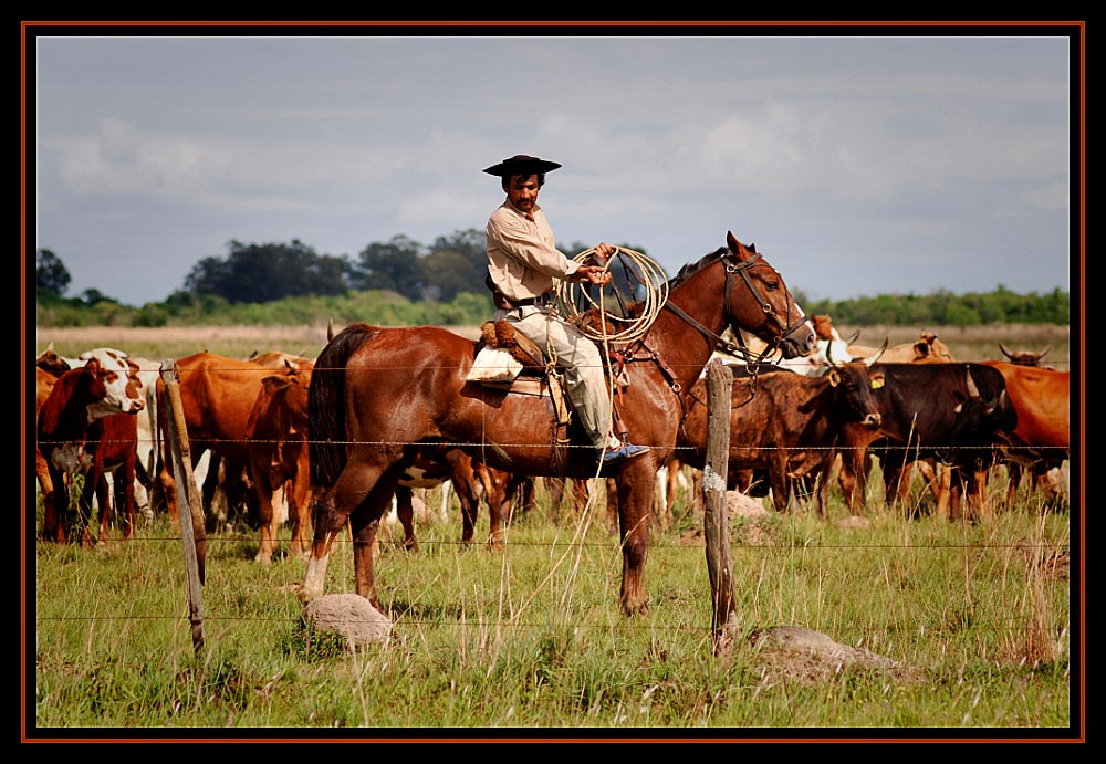 Der Gaucho & sein Lasso...