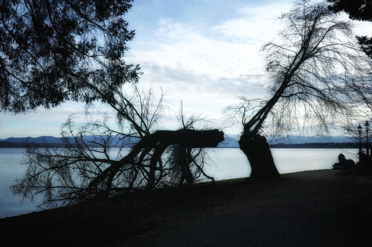 Der gebrochene Baum