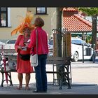 der gefiederte Ticketautomat