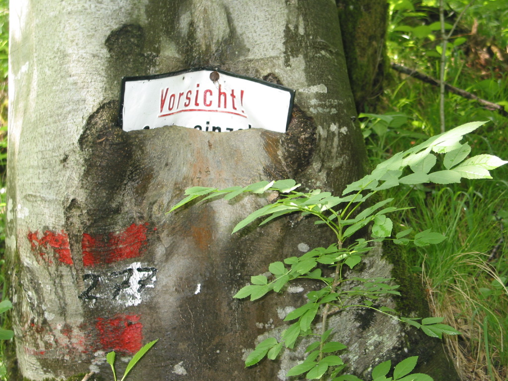 Der gefräßige Baum