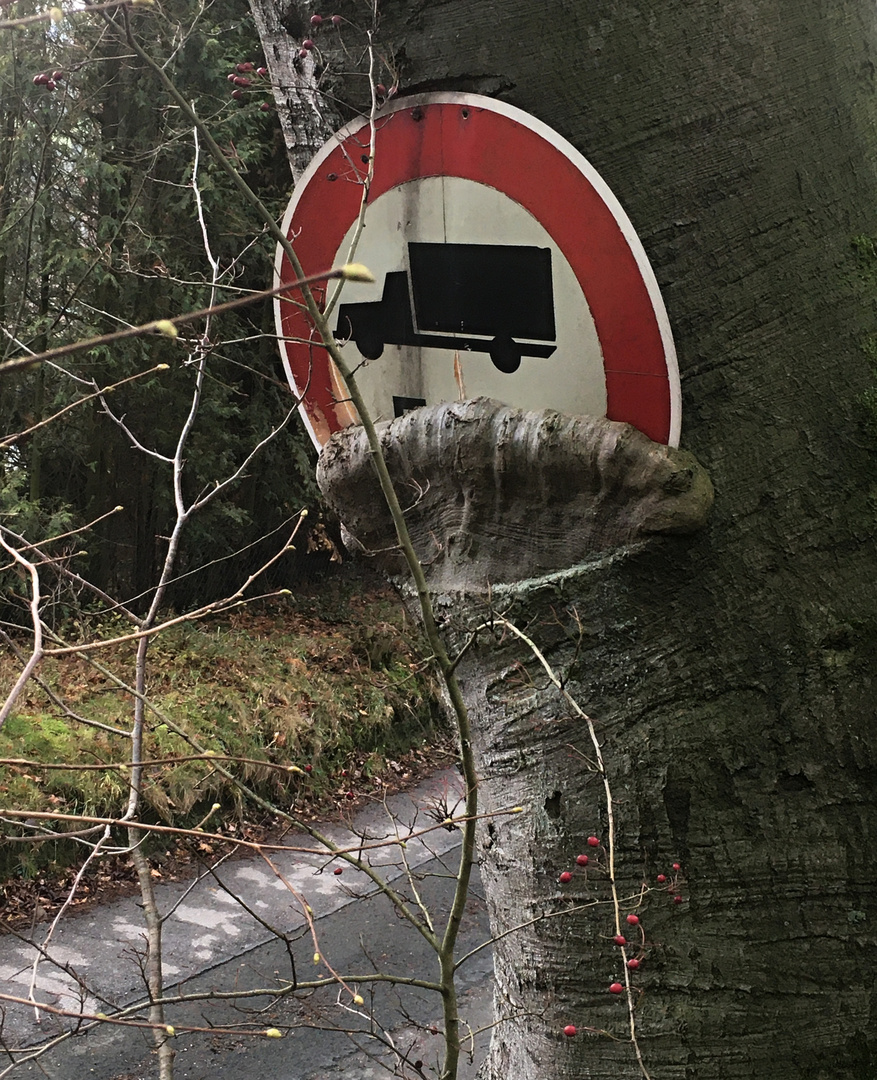 Der gefräßige Baum