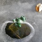 der gefrorene Frosch
