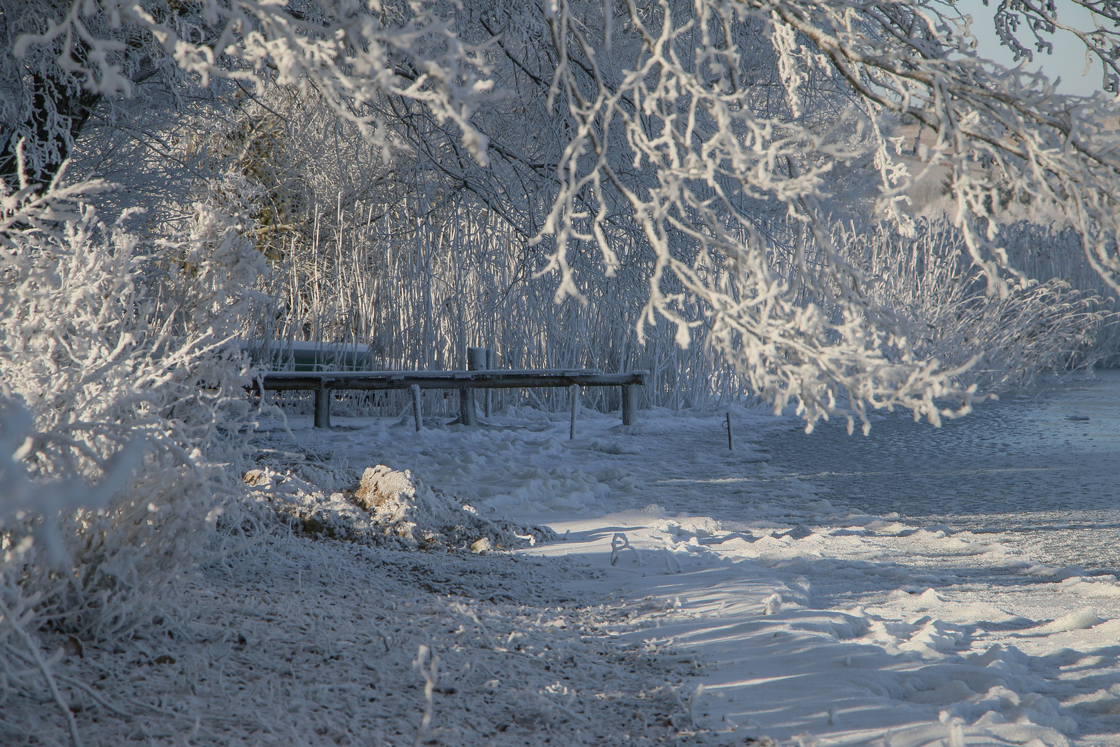 Der gefrorene See