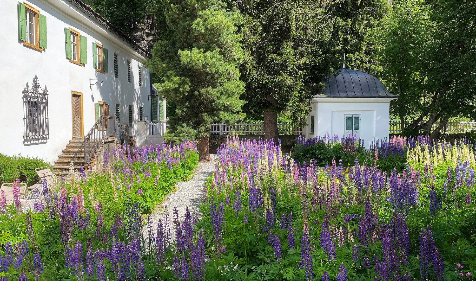 Der geheime Garten 2