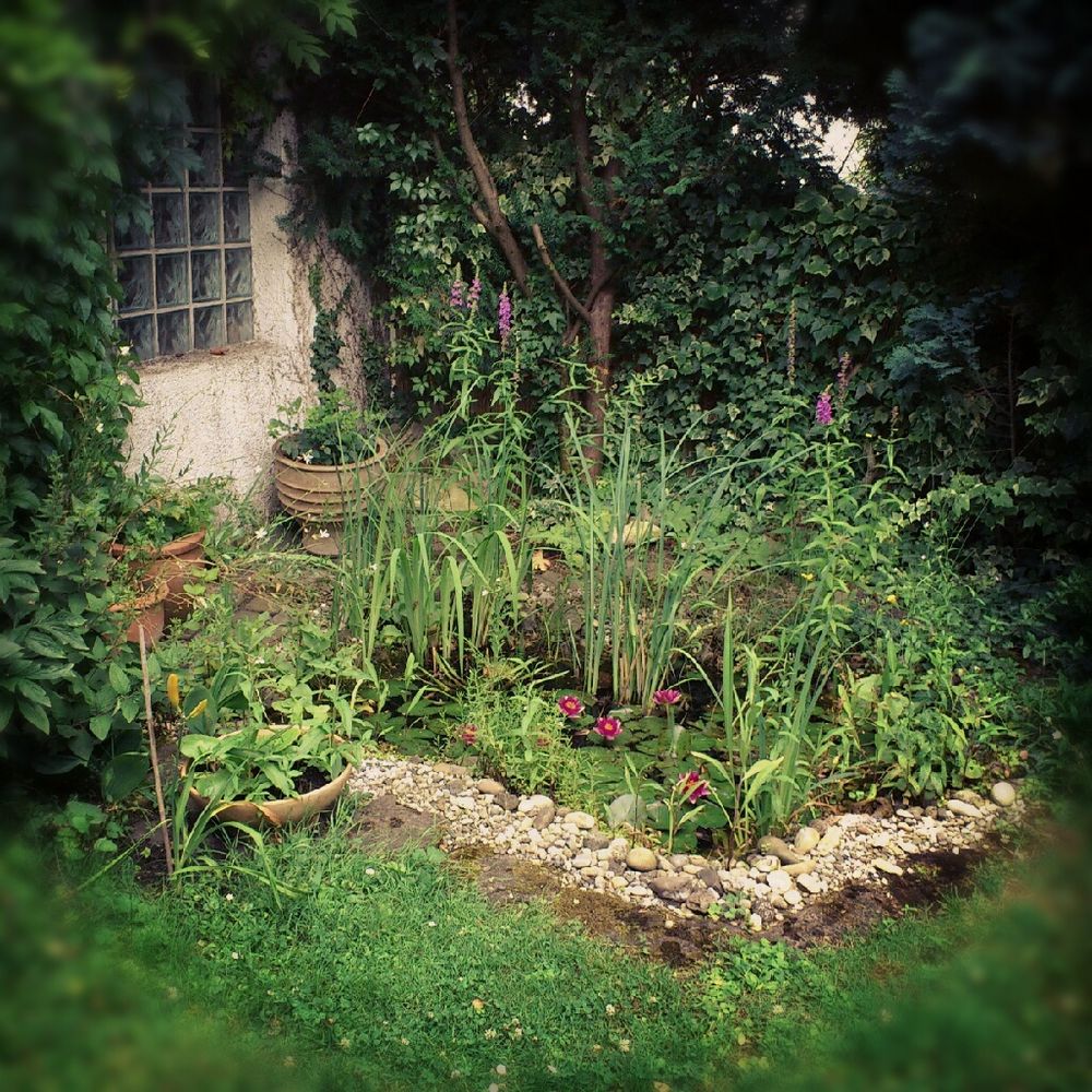 der geheime Garten Foto & Bild landschaft, garten & parklandschaften