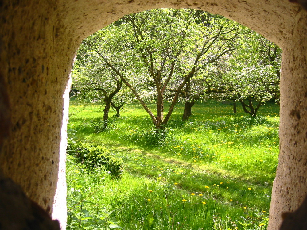 Der geheime Garten