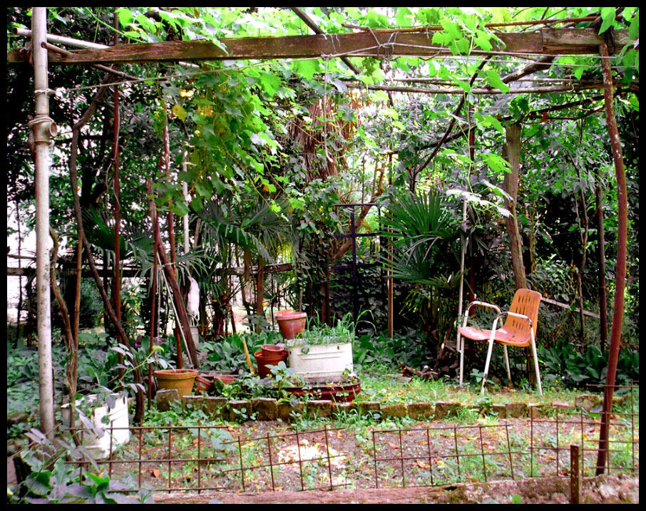 Der geheime Garten Foto & Bild landschaft, garten