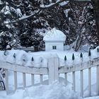 Der geheime Garten im Winter