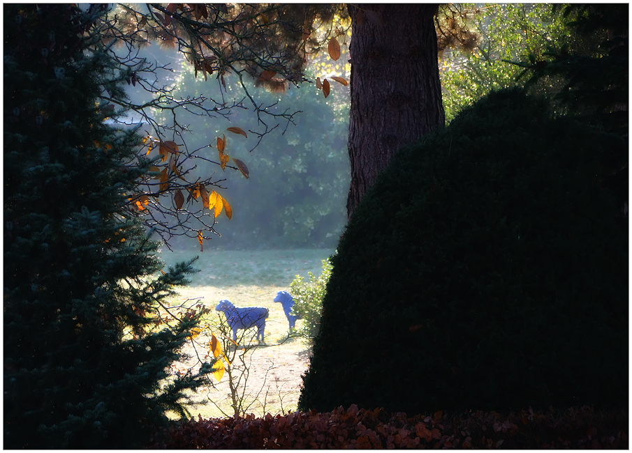 Der geheimnisvolle Garten