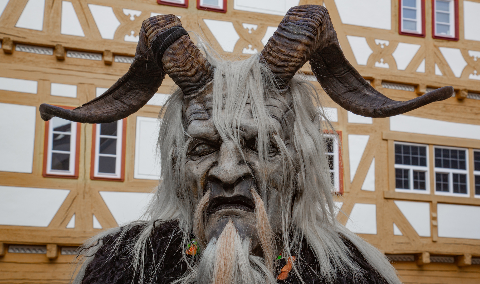 Der Gehörnte Foto & Bild deutschland, europe, baden württemberg