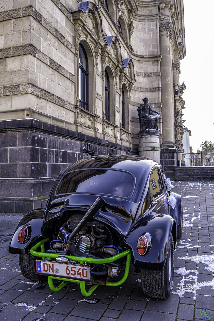 der gehört nicht ins Museum