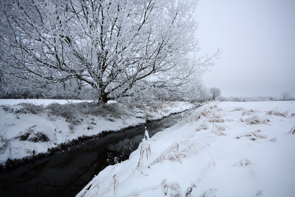 Der Geilenbek bei -7° I