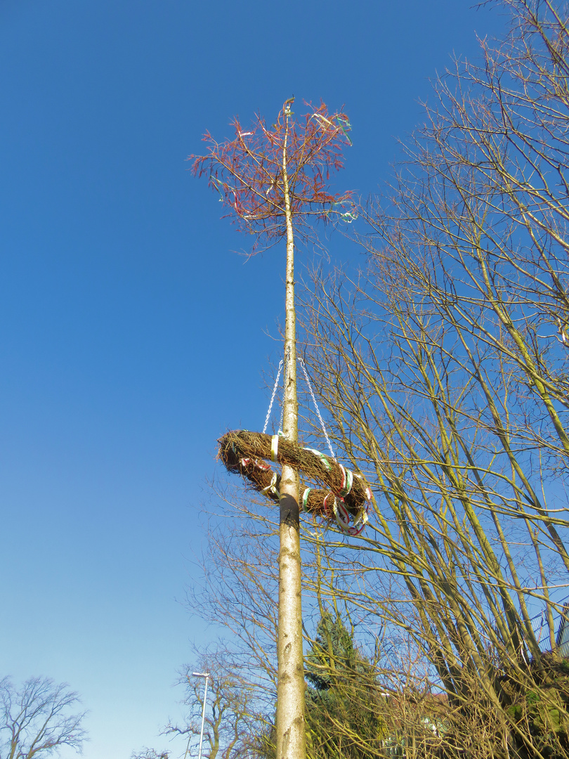 Der geilste Maibaum