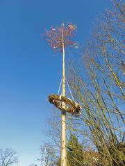 Der geilste Maibaum