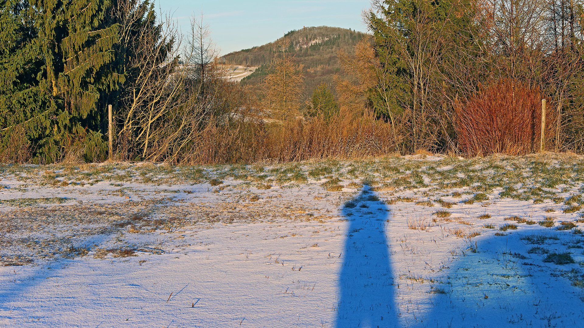 Der Geising bei Altenberg im Durchblick, tiefe Wintersonne und lange Schatten gestern...