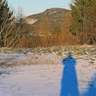 Der Geising bei Altenberg im Durchblick, tiefe Wintersonne und lange Schatten gestern...