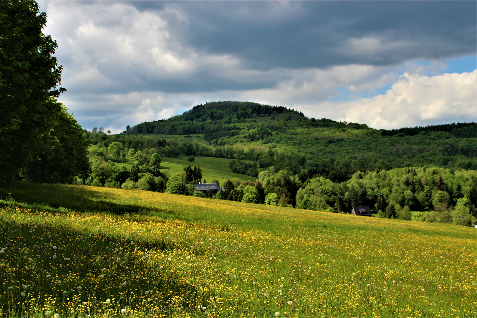 Der Geisingberg (824 Meter) im Osterzgebirge