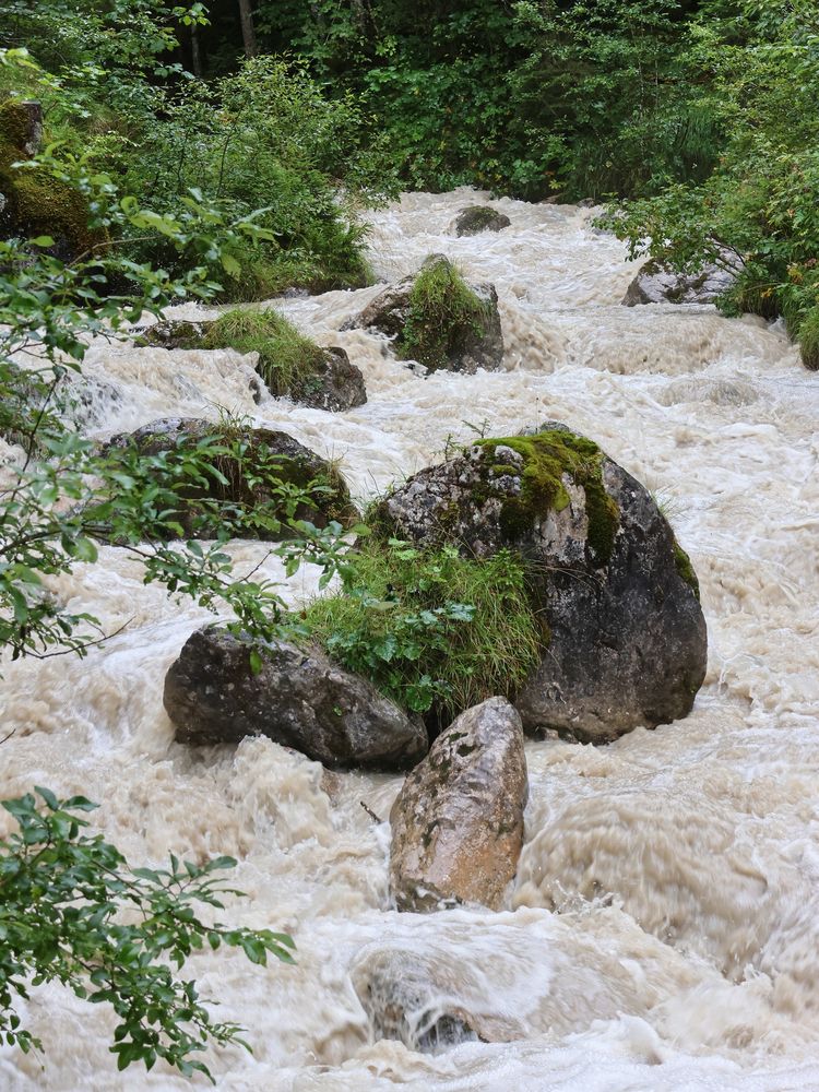 Der Geißbach (oder Gaisbach) (2023_08_28_8407_ji) Foto & Bild wasser