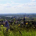 Der Geist vom Tippelsberg...