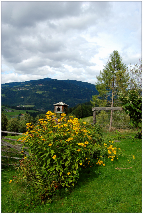 Der "Geisterbaum" fehlt