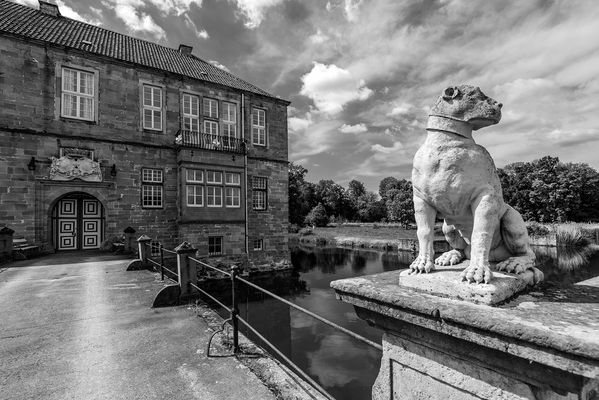 Der Geisterhund von Baskerville?