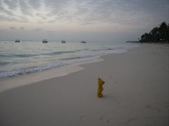 Der gelbe Bär alleine am Strand