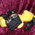 Der gelbe Bär auf Analog-Foto-Tour (2)