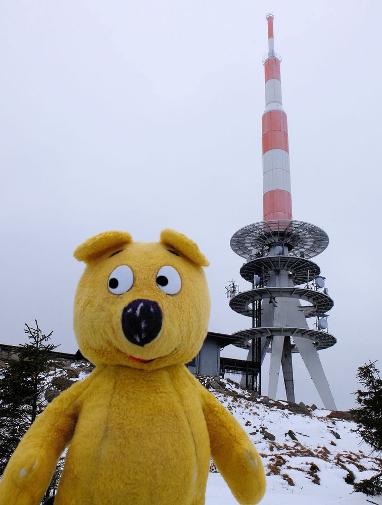 Der gelbe Bär auf dem Brocken