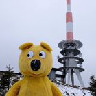 Der gelbe Bär auf dem Brocken