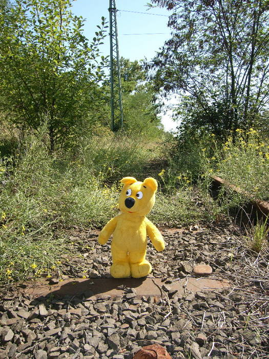 Der gelbe Bär auf der "Railroad to nowhere"