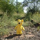 Der gelbe Bär auf der "Railroad to nowhere"