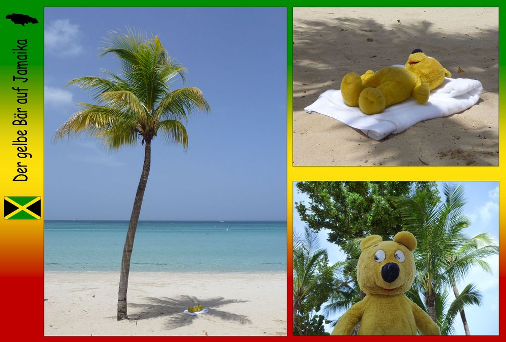 Der gelbe Bär auf Jamaika - Sonne und Strand