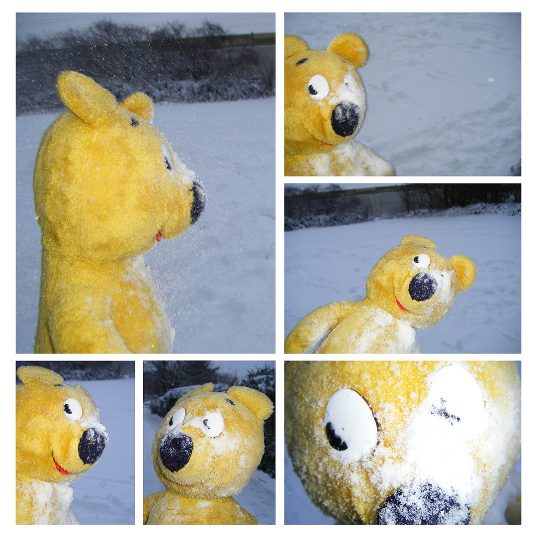 Der gelbe Bär bei der Schneeballschlacht