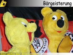 Der gelbe Bär Bild-Lexikon - Bärgeisterung