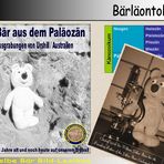 Der gelbe Bär Bild Lexikon - Bärläontologie