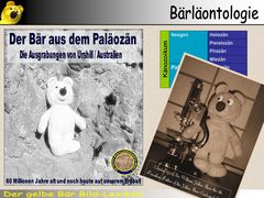 Der gelbe Bär Bild Lexikon - Bärläontologie