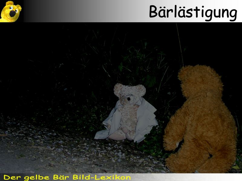 Der gelbe Bär Bild-Lexikon - Bärlästigung