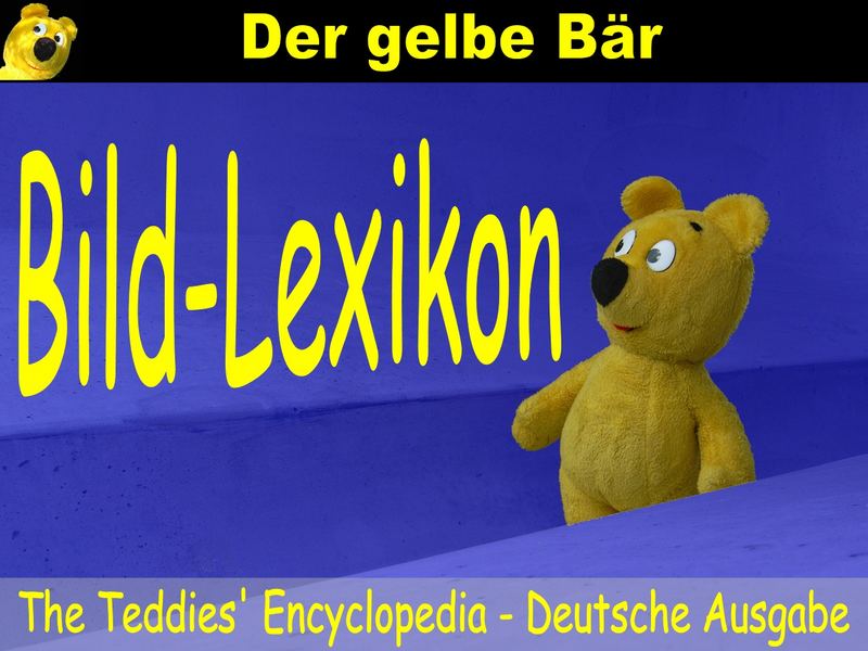 Der gelbe Bär Bild-Lexikon Das Deckblatt