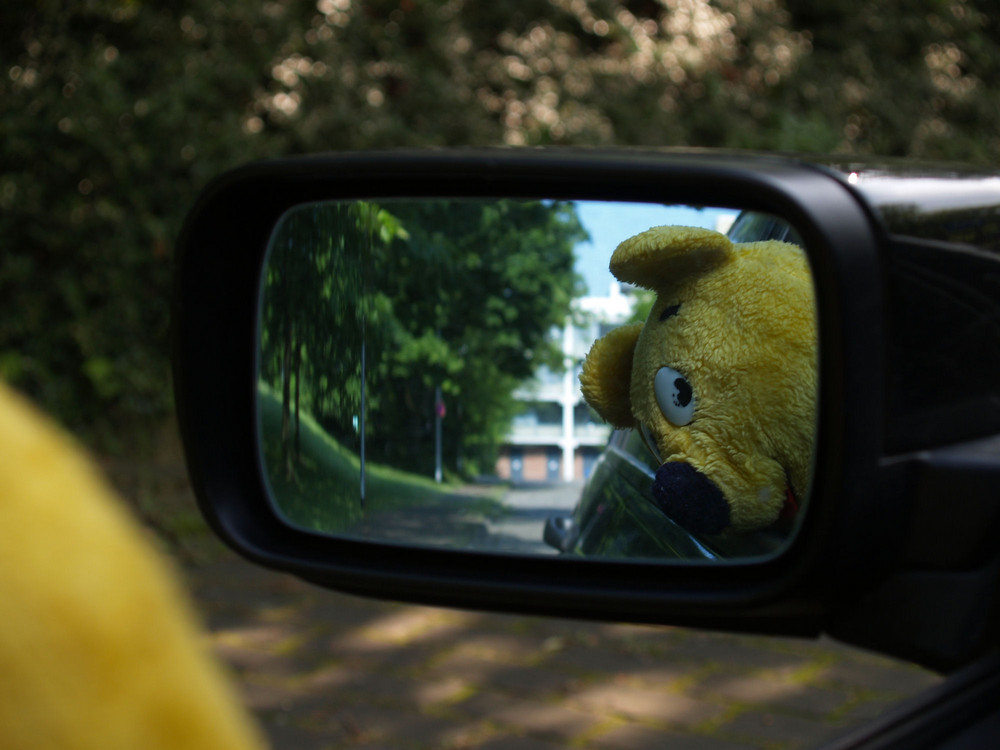 Der gelbe Bär empfiehlt - öfters mal nach Hinten schauen