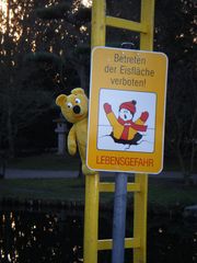 Der gelbe Bär empfiehlt - Rettungsleitern beschützen