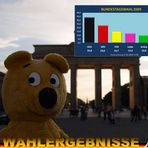 Der gelbe Bär empfiehlt - Wählen gehen >WAHLERGEBNISSE<