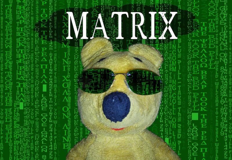 Der gelbe Bär entert die Matrix