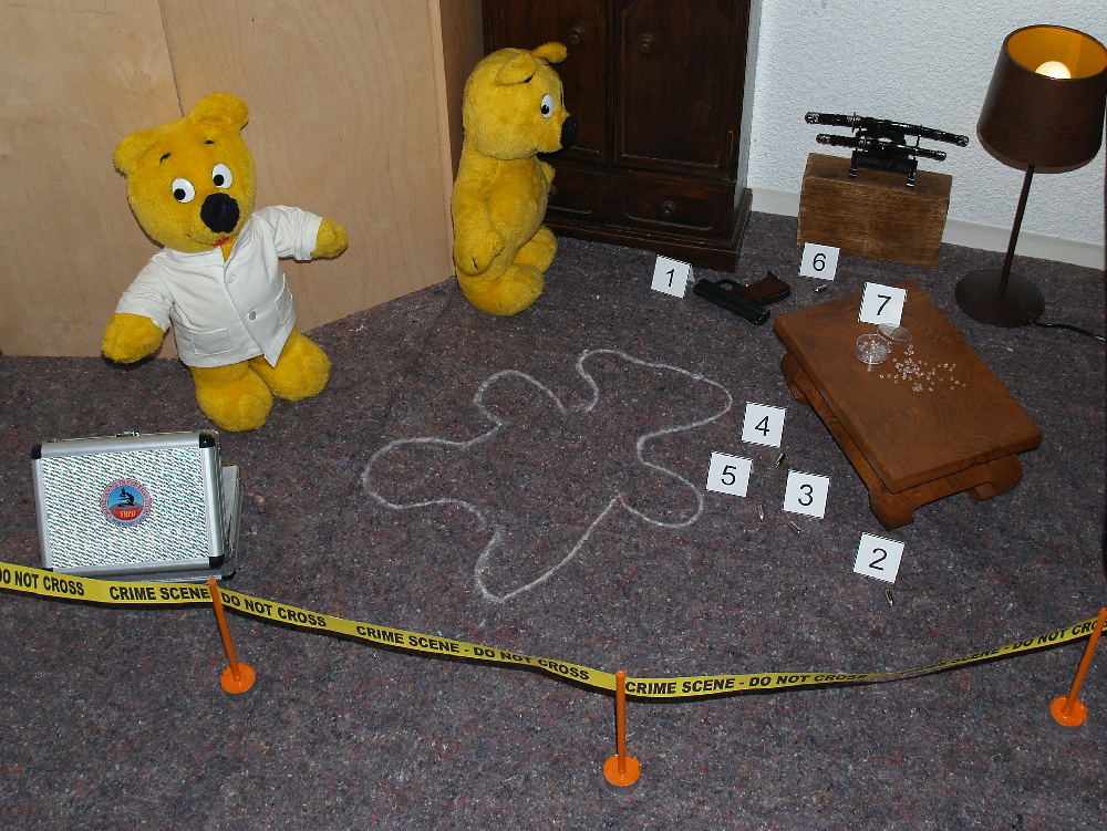 Der gelbe Bär ermittelt....Was ist hier passiert ?