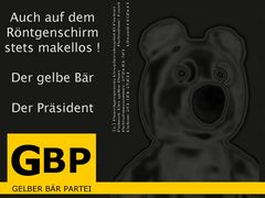 Der gelbe Bär for President