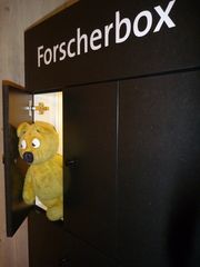 Der gelbe Bär forscht....