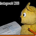 Der gelbe Bär hat gewählt - Bundestagswahl 2009 -