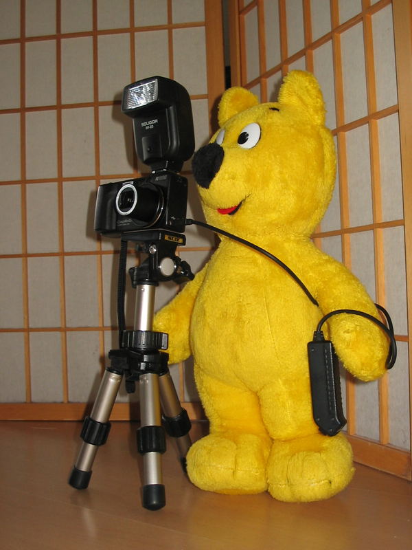 Der gelbe Bär hilft...beim Fotografieren (1)