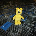 Der gelbe Bär hilft...Fuhrpark-Management im Möbelhaus